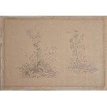 Stanisław Wyspiański (1869-1907), Flowers of the Field / Thistle, Bielany, 1885 (?)