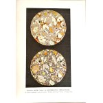 KREMER- EVERYTHING AND MAN publ. 1905 vols. 1-5 [set in 5 vols.] hundreds of illustrations, beautiful condition