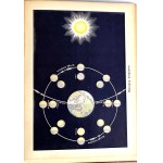 KREMER- EVERYTHING AND MAN publ. 1905 vols. 1-5 [set in 5 vols.] hundreds of illustrations, beautiful condition