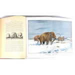 KREMER- EVERYTHING AND MAN publ. 1905 vols. 1-5 [set in 5 vols.] hundreds of illustrations, beautiful condition