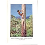 KREMER- EVERYTHING AND MAN publ. 1905 vols. 1-5 [set in 5 vols.] hundreds of illustrations, beautiful condition