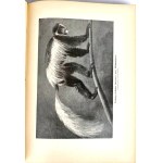 KREMER- EVERYTHING AND MAN publ. 1905 vols. 1-5 [set in 5 vols.] hundreds of illustrations, beautiful condition