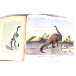KREMER- EVERYTHING AND MAN publ. 1905 vols. 1-5 [set in 5 vols.] hundreds of illustrations, beautiful condition