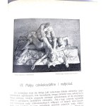 KREMER- EVERYTHING AND MAN publ. 1905 vols. 1-5 [set in 5 vols.] hundreds of illustrations, beautiful condition