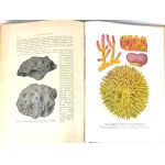 KREMER- EVERYTHING AND MAN publ. 1905 vols. 1-5 [set in 5 vols.] hundreds of illustrations, beautiful condition