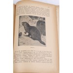 KRAWCZYŃSKI- ŁOWIECTWO Příručka pro profesionální lesníky a amatérské myslivce 1924