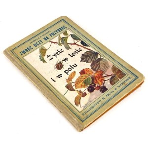 BUCKLEY - LIFE IN THE FOREST IN THE POLE chromolithograph