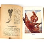 BUCKLEY - LIFE IN THE FOREST IN THE POLE chromolithograph