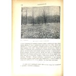 MAKOWIECKI-GARTENBLUMEN