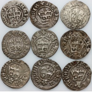 John Olbracht 1492-1501, set of half-pennies, (9 pieces)