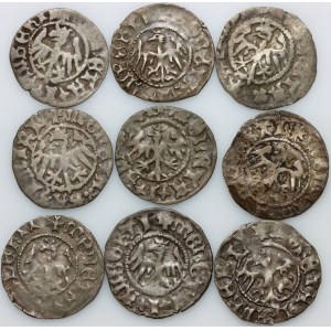 John Olbracht 1492-1501, set of half-pennies, (9 pieces)