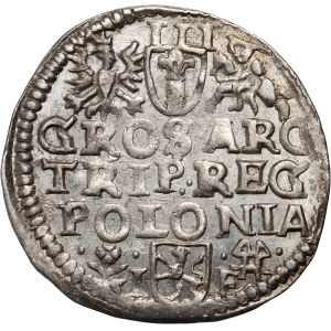 Sigismund III Vasa, trojak 1595, Wschowa