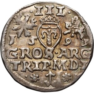 Sigismund III Vasa, trojak 1593, Vilnius