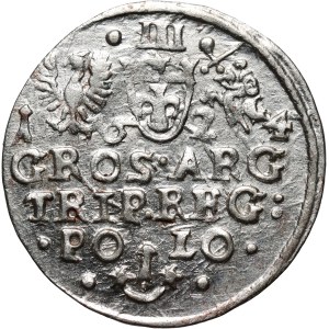Zygmunt III Waza, trojak 1624, Kraków