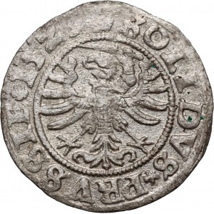 Zygmunt I the Old, 1529 shekel, Torun