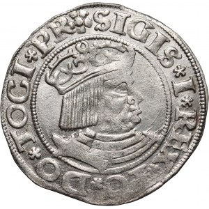 Sigismondo I il Vecchio, centesimo 1531, Danzica