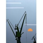 Patrycja Szmyt, Steel Guard, 2025