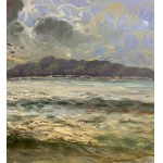 UNIDENTIFIED SIGNATURE, Stormy sea