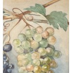 F.Buonocore, Allegory of the Grape - F. Buonocore