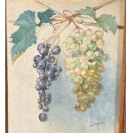 F.Buonocore, Allegory of the Grape - F. Buonocore