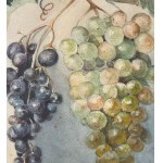 F.Buonocore, Allegory of the Grape - F. Buonocore