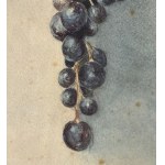 F.Buonocore, Allegory of the Grape - F. Buonocore