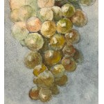F.Buonocore, Allegory of the Grape - F. Buonocore
