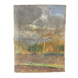 F. DE NICOLA, Wooded landscape - F. De Nicola