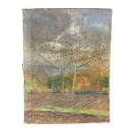 F. DE NICOLA, Wooded landscape - F. De Nicola