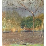 F. DE NICOLA, Wooded landscape - F. De Nicola