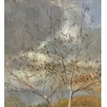 F. DE NICOLA, Wooded landscape - F. De Nicola