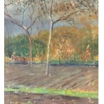 F. DE NICOLA, Wooded landscape - F. De Nicola