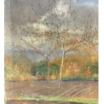 F. DE NICOLA, Wooded landscape - F. De Nicola