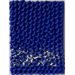 Valeryia KSHNIAKINA (ur. 1995), Blue Field, 2025