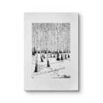 Justyna GRUNWALD (b. 1985), Recollection of an image from memory, 2024