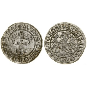 Poland, sheląg, 1546, Gdansk