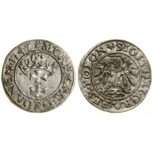 Pologne, sheląg, 1547, Gdansk