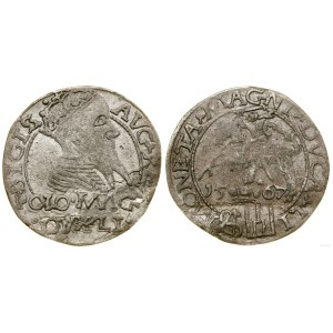 Pologne, penny par pied polonais, 1567, Tykocin