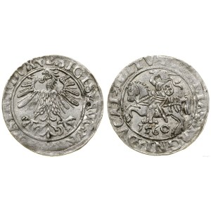 Polska, półgrosz, 1560, Wilno