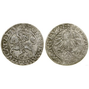 Poland, half-penny, 1562, Vilnius