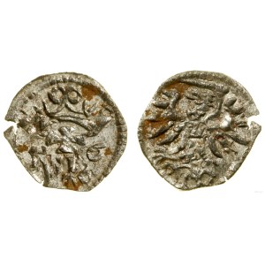 Poland, denarius, 1556, Gdansk