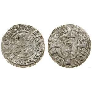 Pomorze, witten, 1520, Szczecin