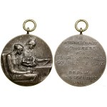 Germany, commemorative badge, 1911