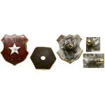 Poland, Wisla Kraków commemorative badge, after 1906