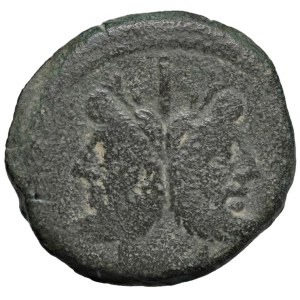 Roman coins Republic - Saufeia - L. Saufeius - Asse (152 a.C.) Testa di G...