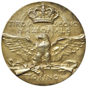 Medale miast - TORINO, artystyczny medal wybity bez daty w XX wieku.