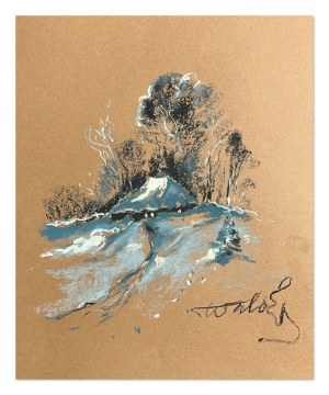 Wiktor Zin (1925-2007), Zimowa chata