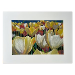 Peter Tofil (1953-2024), Tulips