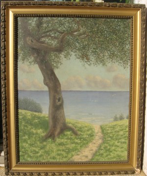 Eryk Zedtwitz (1887-1965), Międzyzdroje - dąb nad morzem
