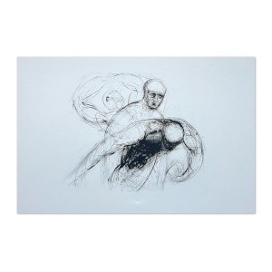 Prof. Slawomir Witkowski (nato nel 1961), Dalla serie Disegni non pacifici.